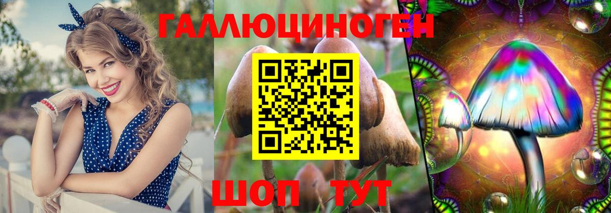 Галлюциногенные грибы Psilocybe Калач-на-Дону
