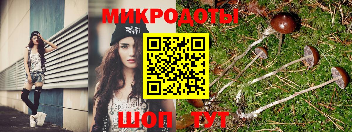 Псилоцибиновые грибы Cubensis  Вход с VPN  Калач-на-Дону 
