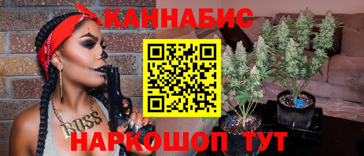 Бошки марихуана конопля Калач-на-Дону